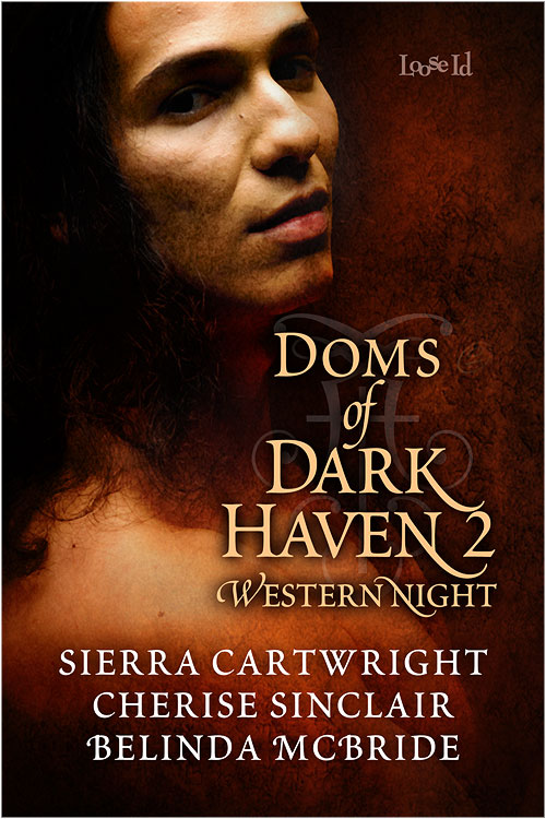 Doms of Dark Haven 2: Western Nights