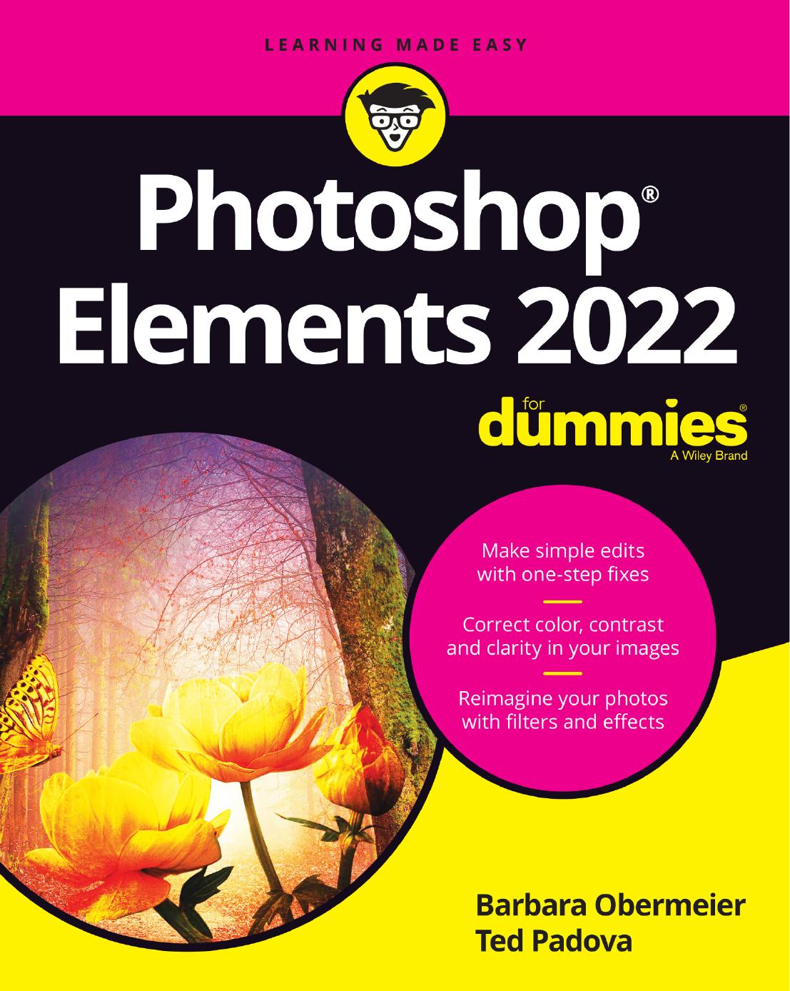 Photoshop Elements 13 All-In-One for Dummies