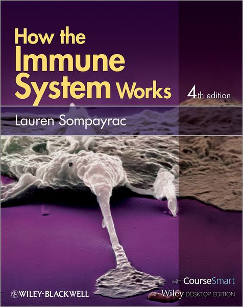 How the Immune System Works