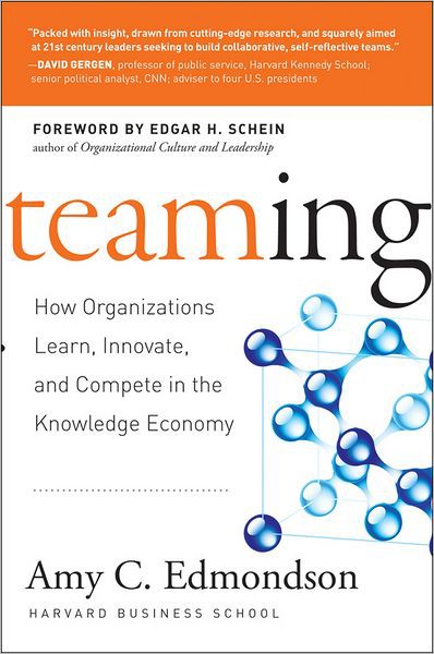 Teaming: How Organizations Learn, Innovate, and Compete in the Knowledge Economy