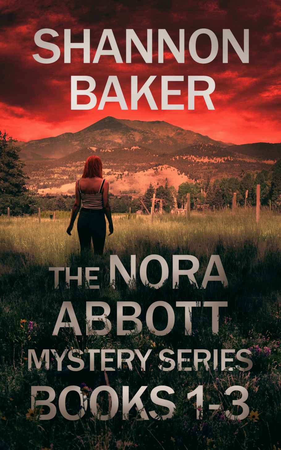 The Nora Abbott Mystery Series #1-3: Height of Deception, Skies of Fire, Canyon of Lies