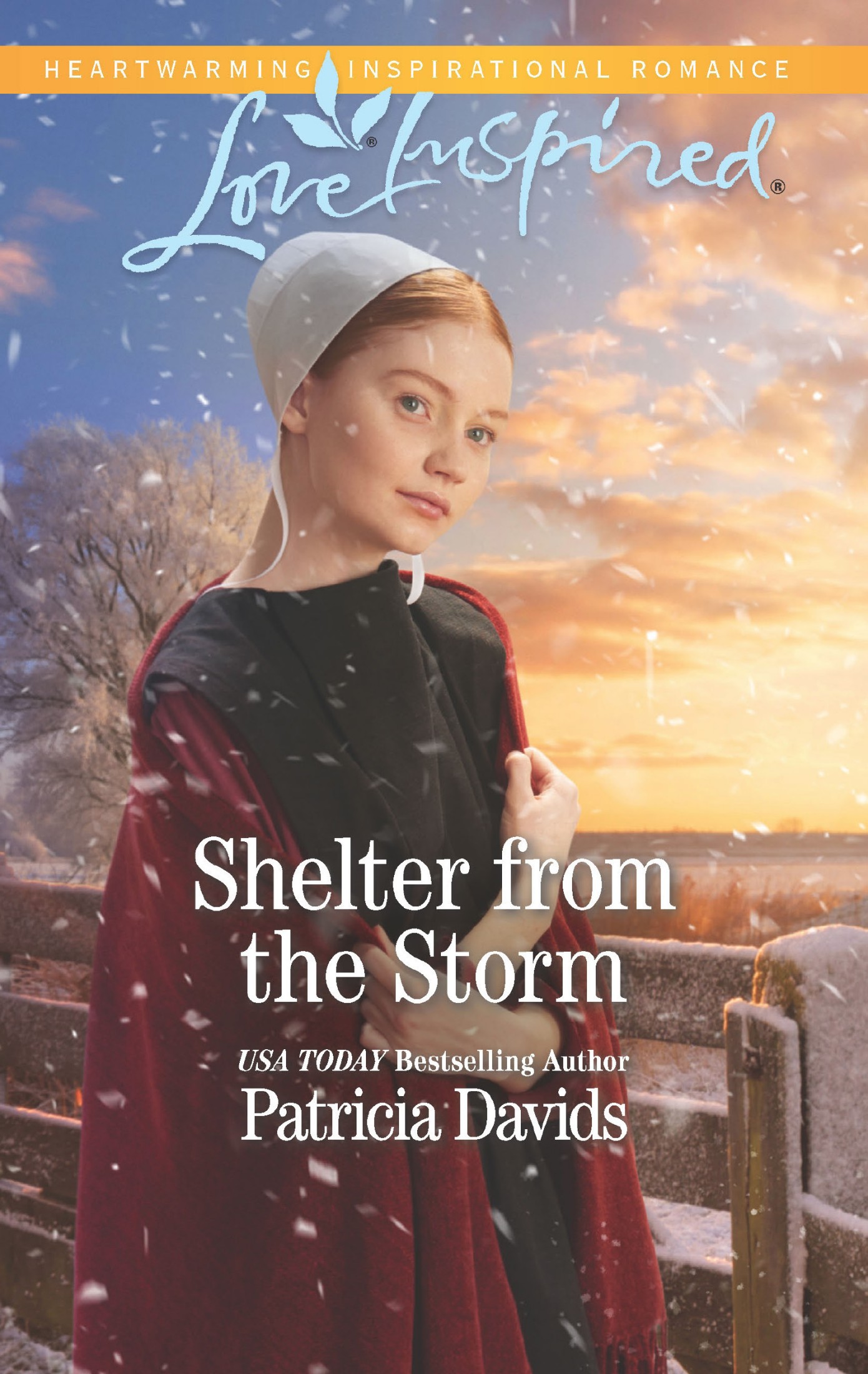 Shelter From the Storm
