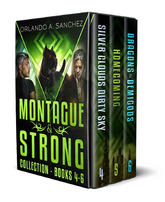Montague & Strong Collection, Books 4-6