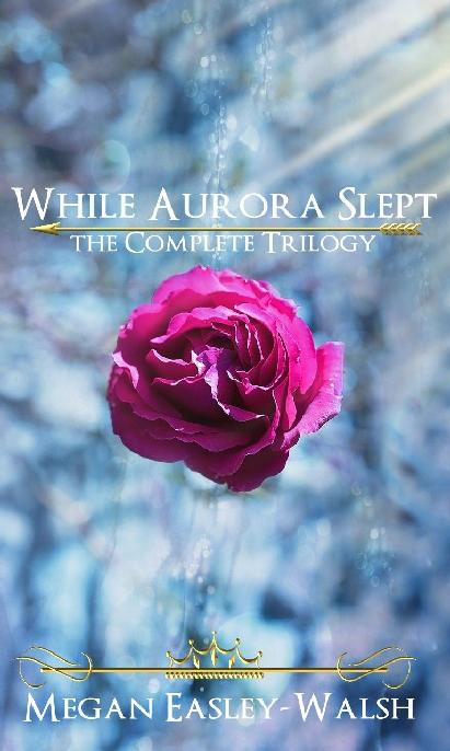 While Aurora Slept: Sleeping Beauty Retold