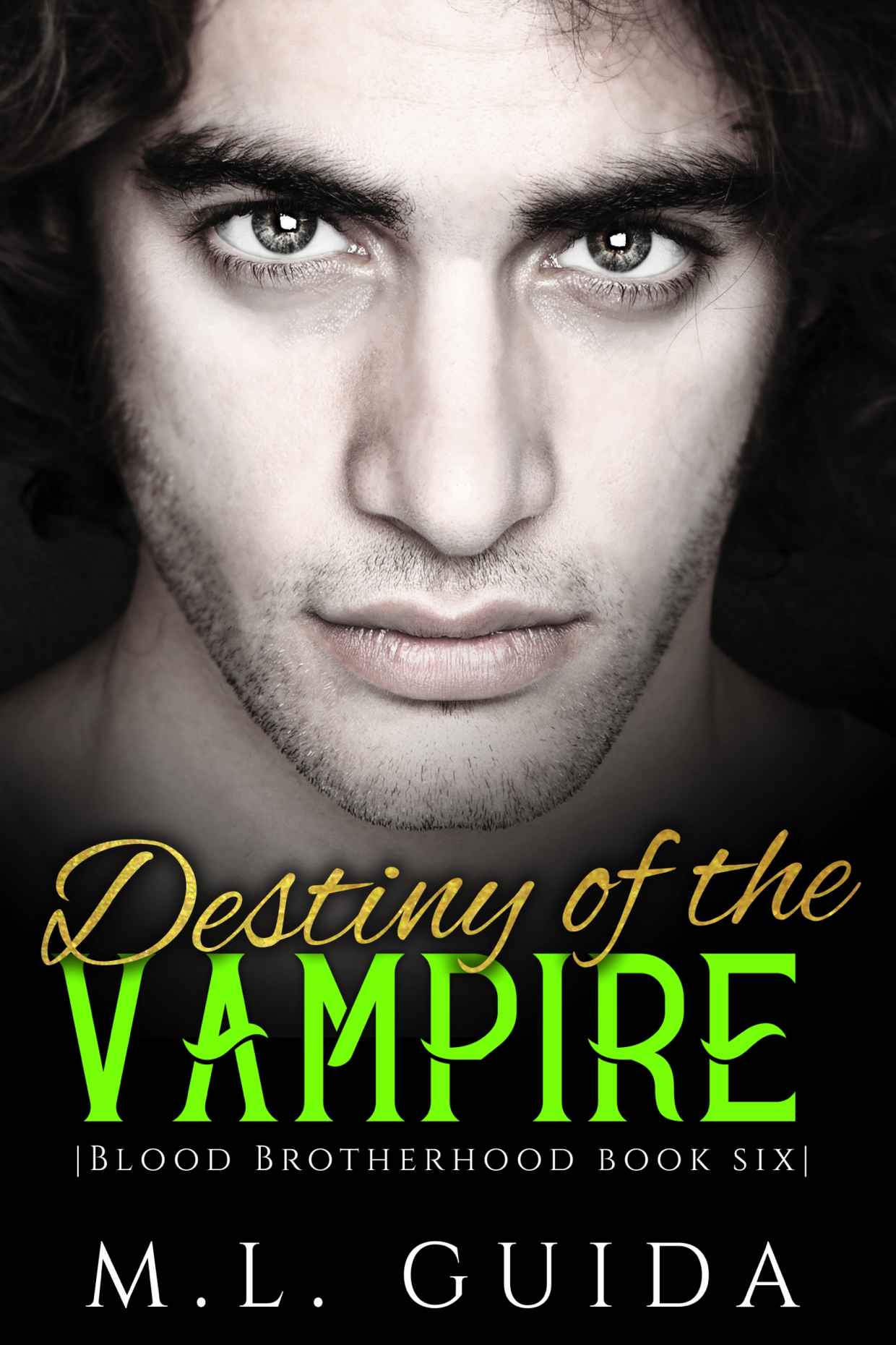Destiny of the Vampire: A Vampire Romance