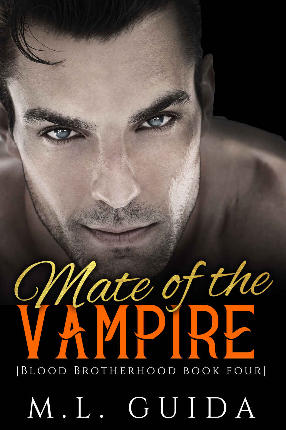 Destiny of the Vampire: A Vampire Romance