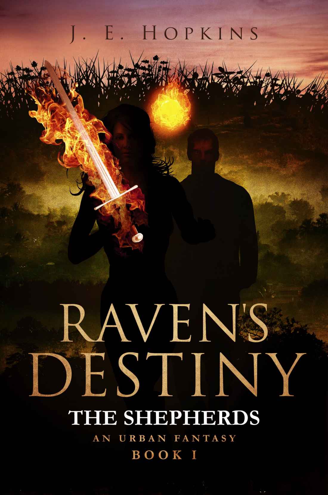 Raven's Destiny: The Shepherds, an Urban Fantasy. Book 1