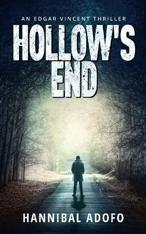 Hollow's End: A Gripping Crime Novella