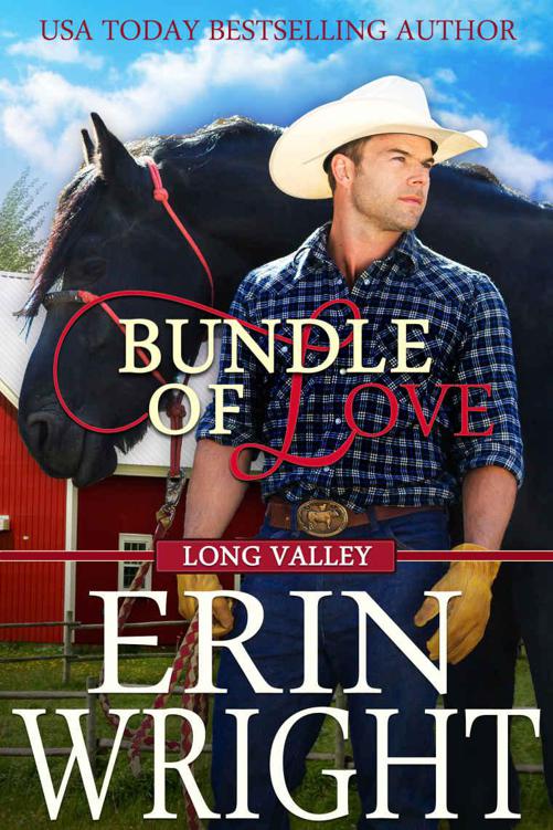 Bundle of Love: A Western Romance Novel