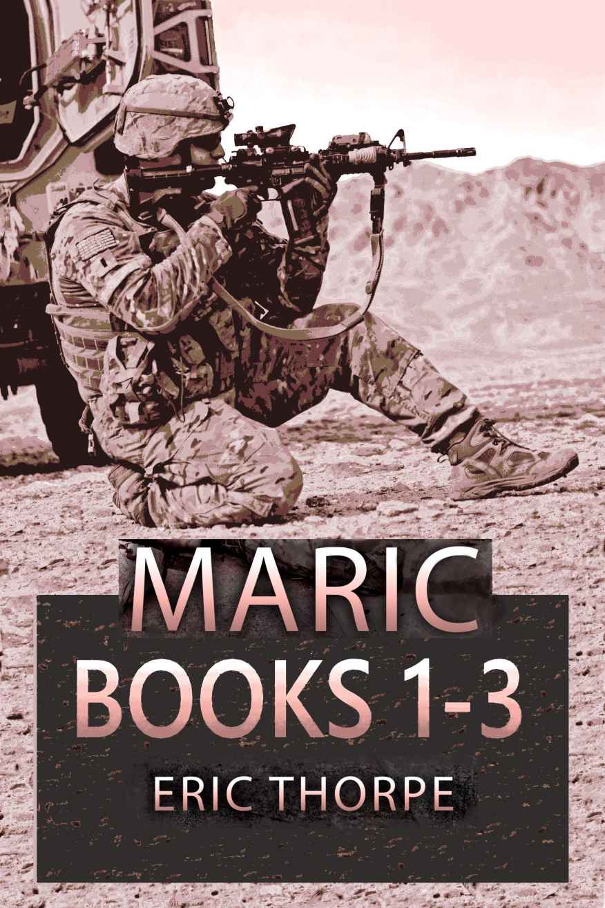 Books 1-3 of the UNSUNG WARRIOR Series.