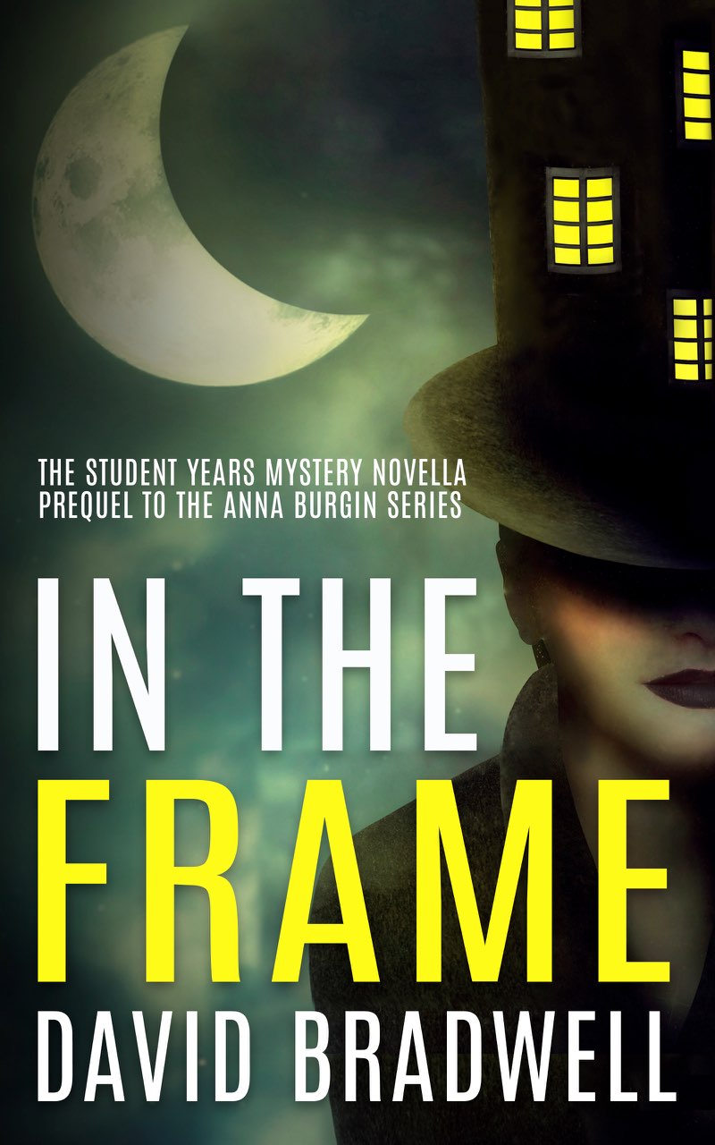 In the Frame: Series Prequel Mystery Novella - Anna Burgin Book 0