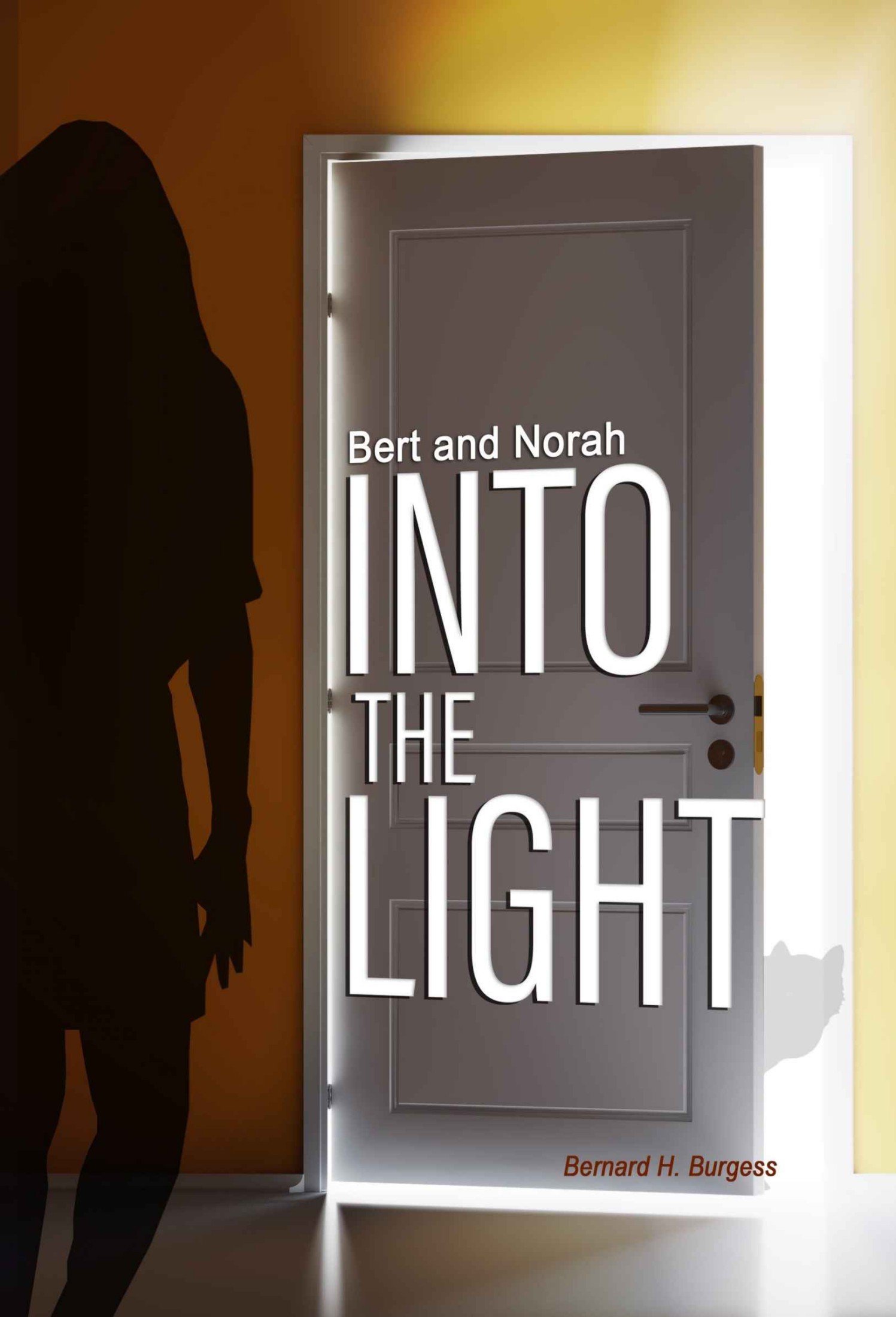 Bert and Norah: Into the Light