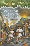 Vacation Under the Volcano