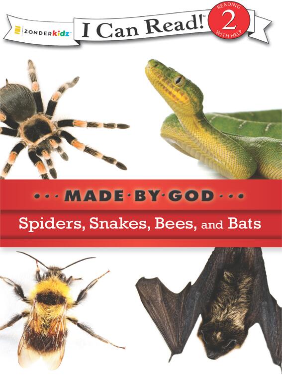Spiders, Snakes, Bees, and Bats: Level 2