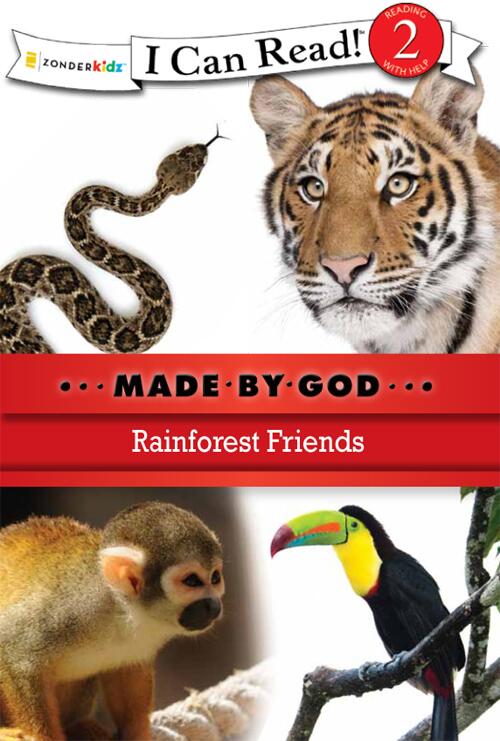 Rainforest Friends: Level 2
