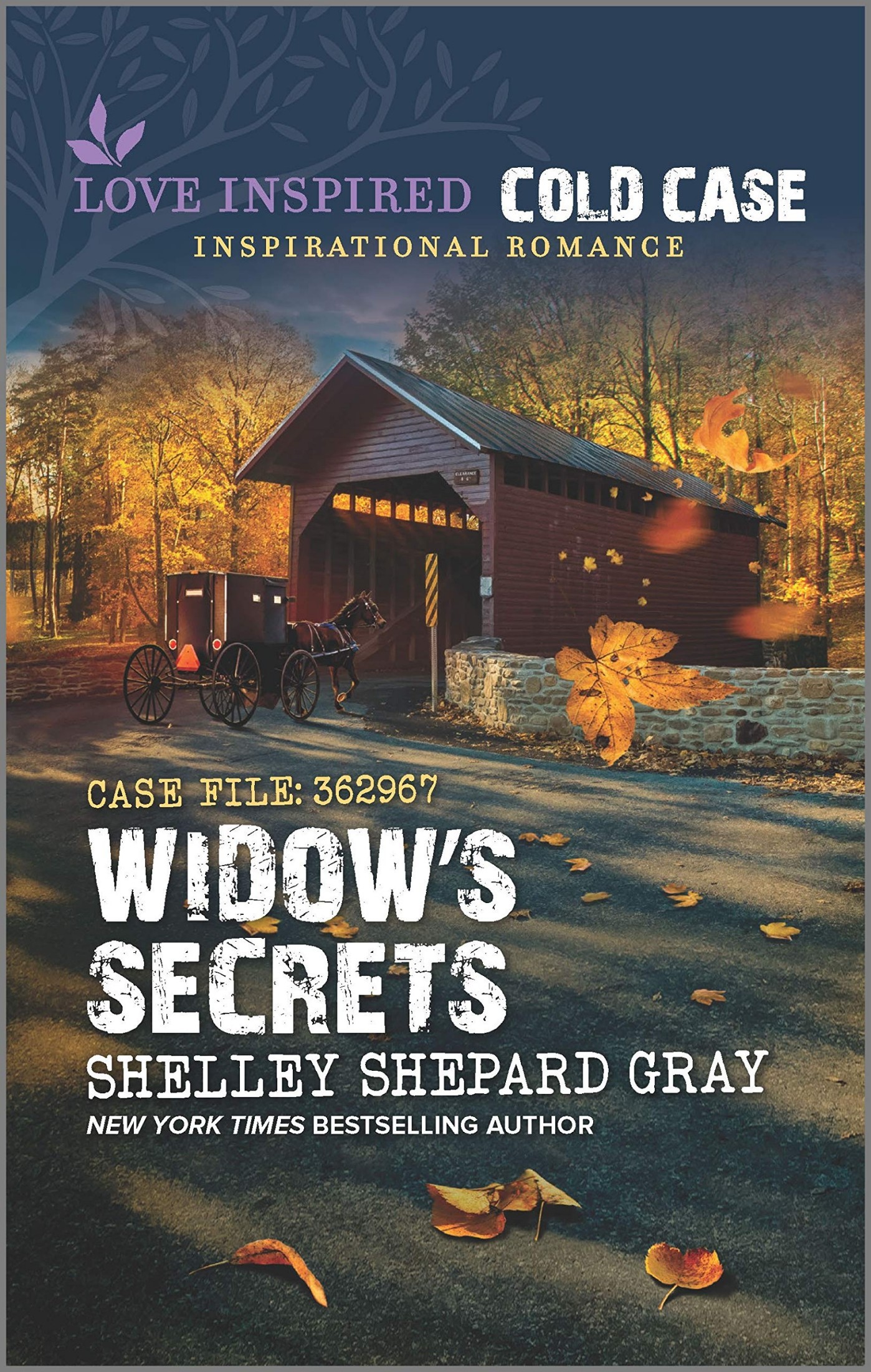 Widow's Secrets: A Christian Mystery – A Contemporary Amish Suspense Romance