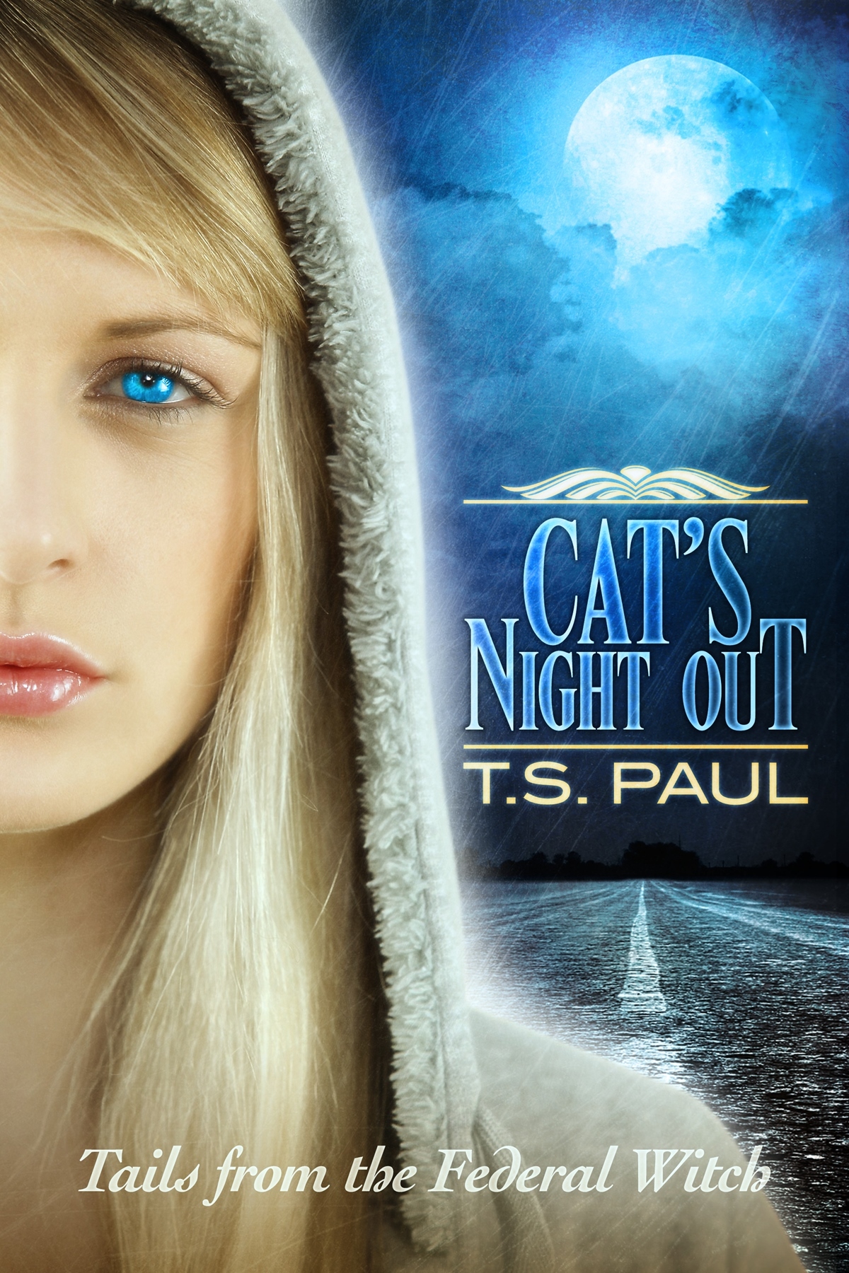 Cat's Night Out: Tales from the Federal Witch