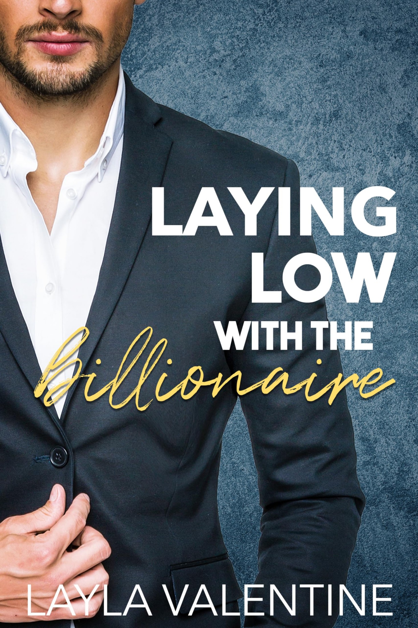Laying Low With The Billionaire
